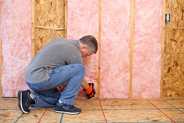 Best DIY Insulation Kits and Guidance in Ball Pond, CT